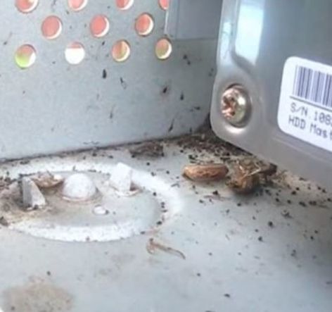 Cockroaches Attracted to Heat in Computers Mechanicsville Pest Control Mechanicsville, VA